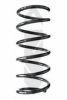 SPIDAN 85569 Coil Spring